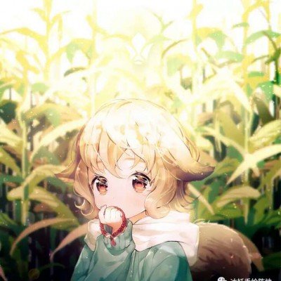 白冰连续4年偷税